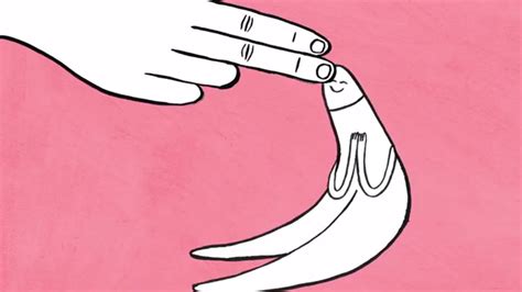 As the award-winning mini-documentary “Le Clitoris” explains, there are two 4-inch roots that reach down from the gland toward the vagina. Le clitoris – Animated Documentary (2016) from Lori ...